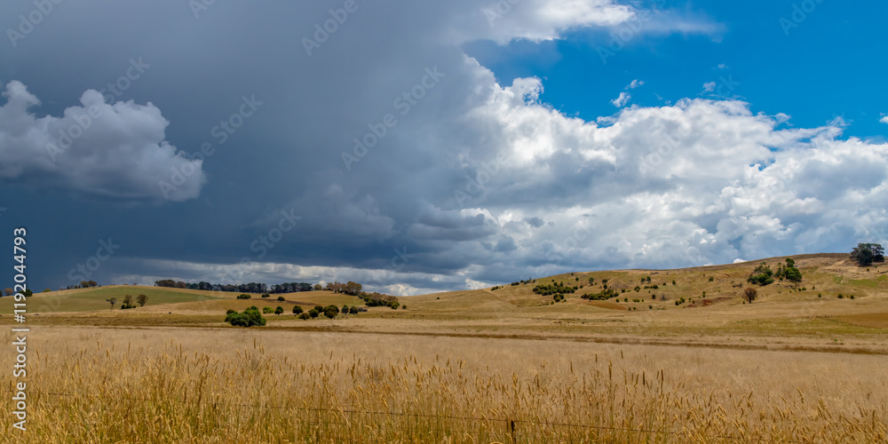Fototapeta premium Countryside and storm clouds with blue sky