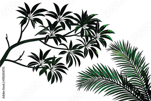 tropical palm fronds, vibrant green leaves, botanical illustration, white background, detailed leaf texture, natural light, photorealistic, high contrast, isolated plant specimen, lush foliage, archin