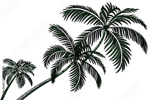 tropical palm fronds, vibrant green leaves, botanical illustration, white background, detailed leaf texture, natural light, photorealistic, high contrast, isolated plant specimen, lush foliage, archin