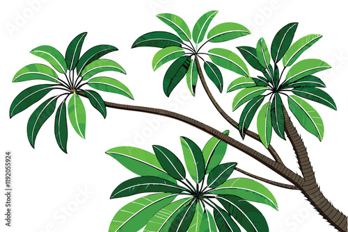 tropical palm fronds, vibrant green leaves, botanical illustration, white background, detailed leaf texture, natural light, photorealistic, high contrast, isolated plant specimen, lush foliage, archin