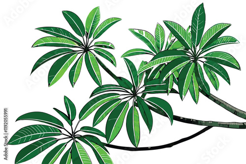 tropical palm fronds, vibrant green leaves, botanical illustration, white background, detailed leaf texture, natural light, photorealistic, high contrast, isolated plant specimen, lush foliage, archin