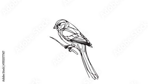 Bird line art image icon design illustration