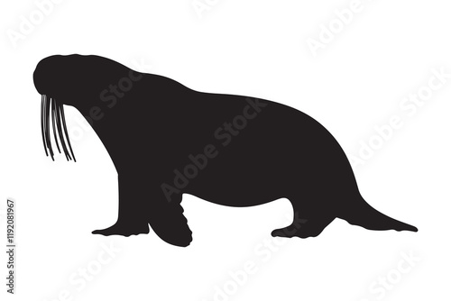 Walrus Silhouette Vector illustration