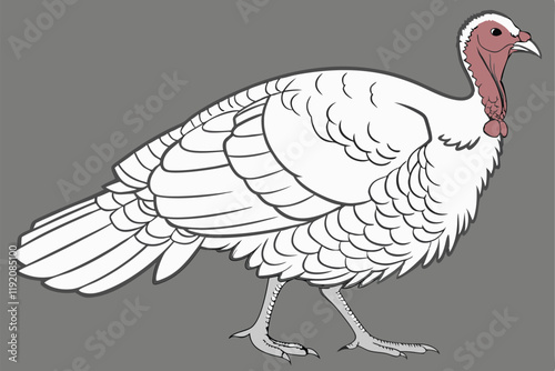 white turkey, detailed feathers, plump body, red head and wattle, pink legs, standing pose, realistic rendering, studio lighting, gray background, high contrast, photorealistic, 4k resolution, nature 