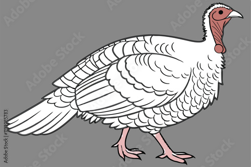 white turkey, detailed feathers, plump body, red head and wattle, pink legs, standing pose, realistic rendering, studio lighting, gray background, high contrast, photorealistic, 4k resolution, nature 