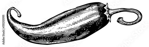 chili engraving black and white outline