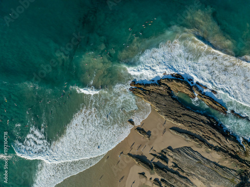 Top down of Snapper photo