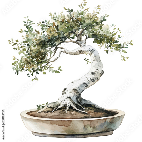 A watercolor drawing of a Birch Bonsai, isolated on a white background. Birch Bonsai vector.
