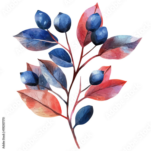 A watercolor vector of Bilberry, isolated on a white background. Bilberry vector.
