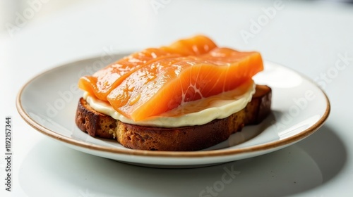 A delectable open-faced sandwich featuring slices of cured salmon atop a creamy spread and a toasted bread base, served on a simple plate. photo