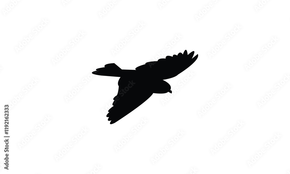 Obraz premium Flying Snowfinch Bird Silhouette Design And Vector Illustration. 