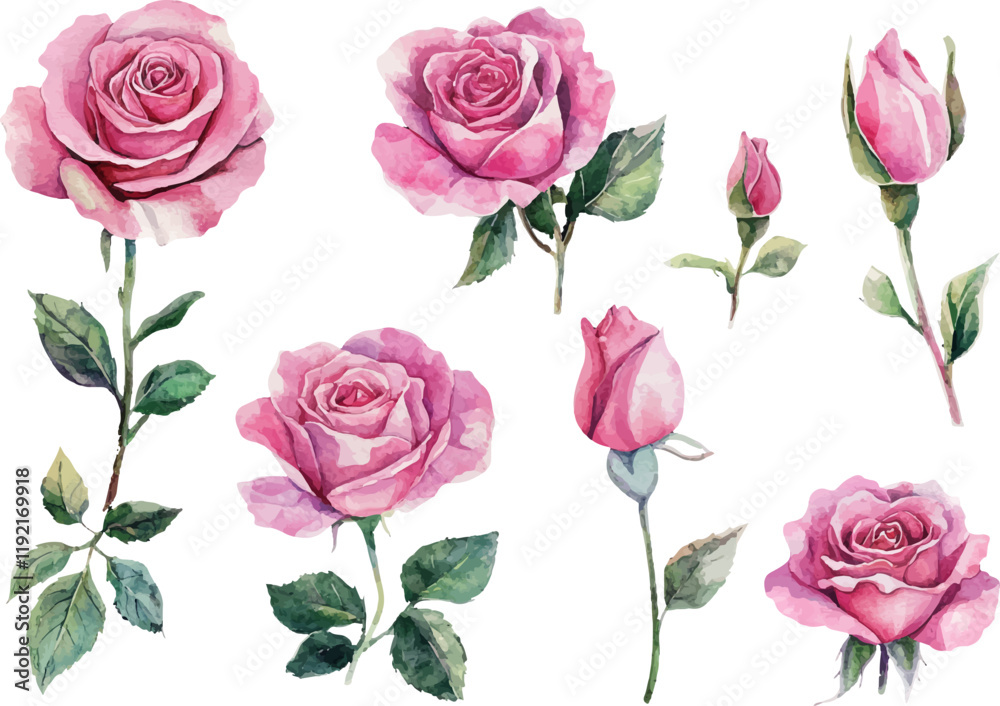 seamless pattern of roses seamless pattern of roses