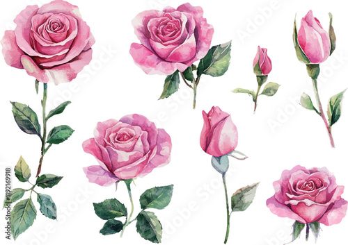 seamless pattern of roses