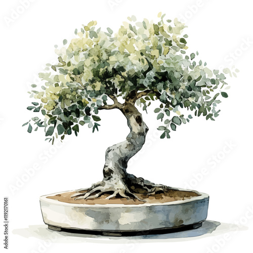 A watercolor drawing of an Australian Bottle Tree Bonsai, isolated on a white background. Australian Bottle Tree Bonsai vector.
