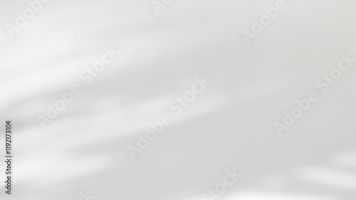Grey and white smooth bokeh abstract background, blurred leaves shadows motion