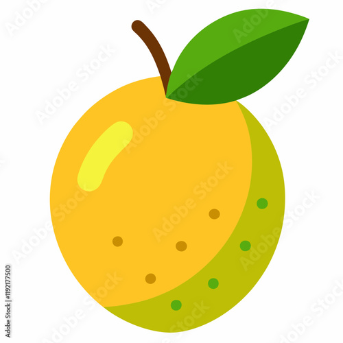 abiu fruit vector  illustration