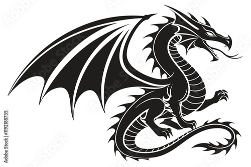 black and white dragon