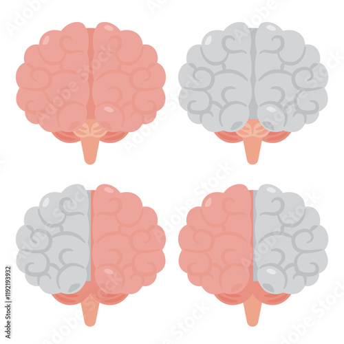 右脳と左脳のイラスト　前視点