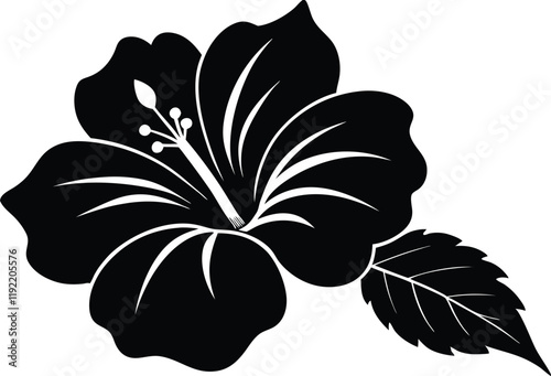 Botanical hibiscus flower silhouette,Botanical hibiscus vector