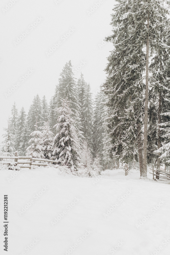 Journey Through a Winter Mountain Forest Exploring the Snowy Woods Journey Through a Winter Mountain Forest Exploring the Snowy Woods