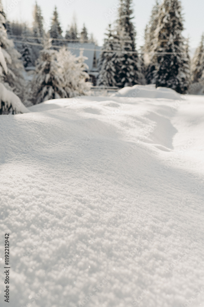 Obraz premium Journey Through a Winter Mountain Forest Exploring the Snowy Woods