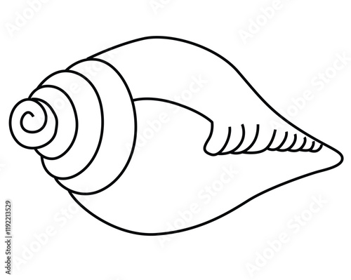 Cute cartoon hand drawn vector conch sea shell coloring page.