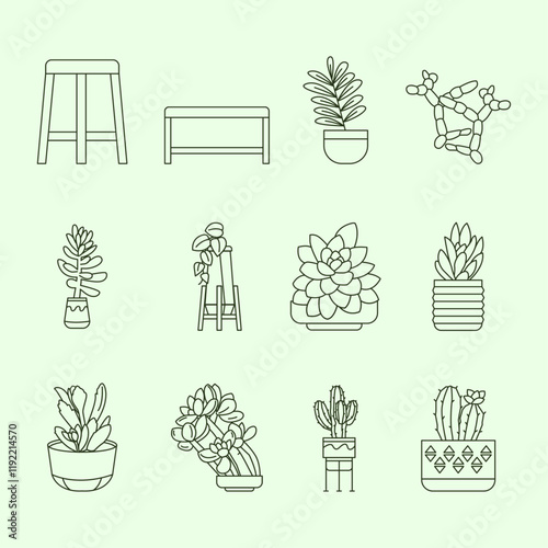 Cactus Illustration Pack Outline Style