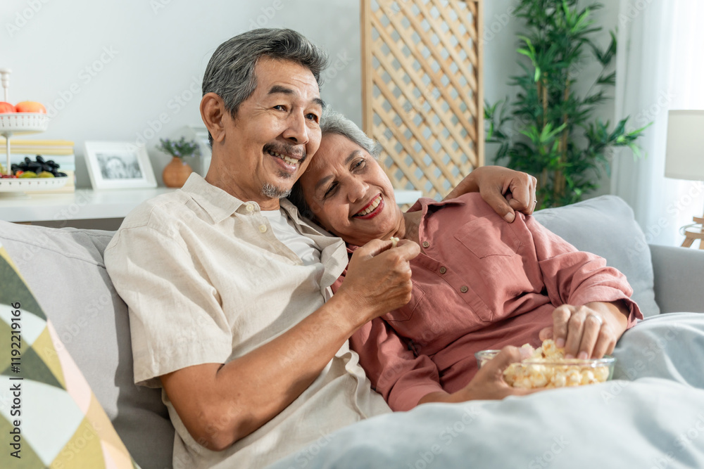 Asian senior elderly couple watching television in living room at home. Asian senior elderly couple watching television in living room at home.