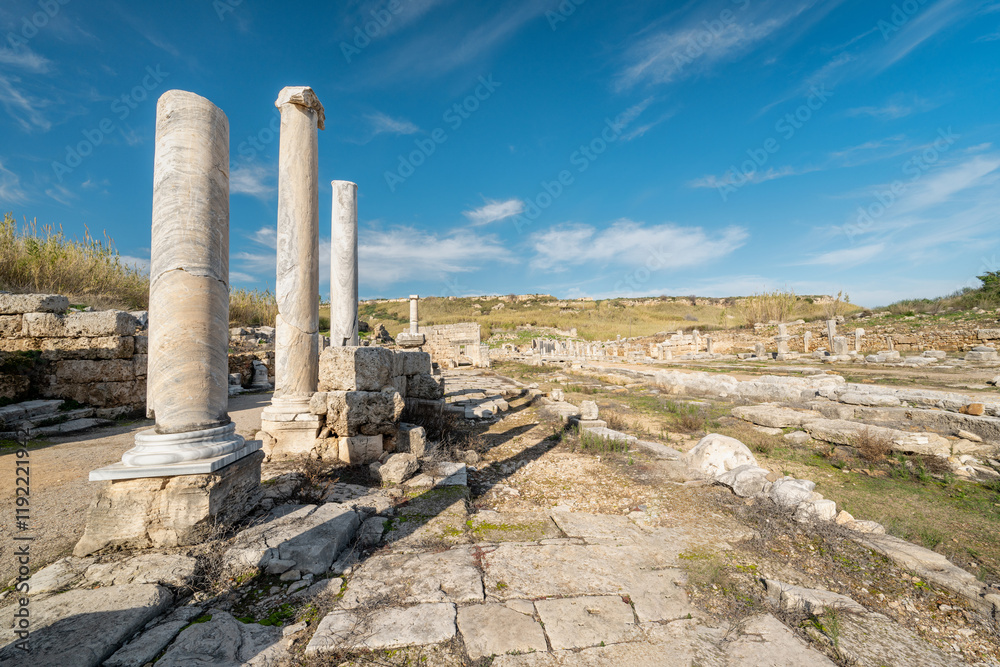 Remains of the columned street in the Perge Ancient City in Antalya, Türkiye Remains of the columned street in the Perge Ancient City in Antalya, Türkiye
