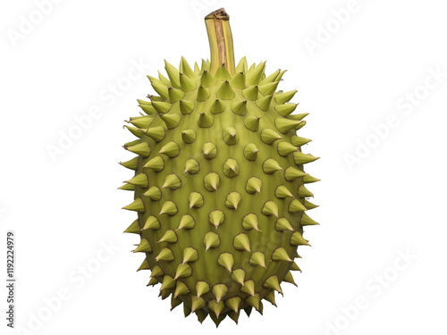 Jackfruit (Artocarpus heterophyllus) Large, green, spiky jackfruit with fibrous, sweet-tasting flesh, often used as a meat substitute in vegan dishes photo