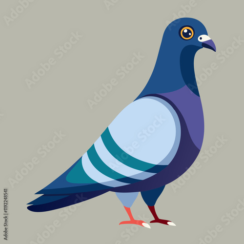 rock pigeon illustration