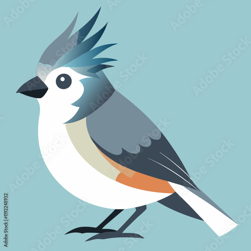 tufted titmouse vector art