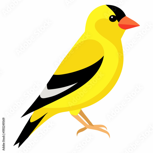 illustration of an american goldfinch 