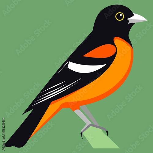 baltimore oriole vector art