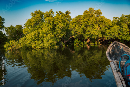 Scenic view of Mangrove trees at sunset on the meandering estuary of the Kongo River in Diani Beach, Kenya photo