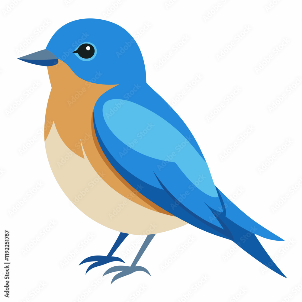 Obraz premium eastern bluebird vector art