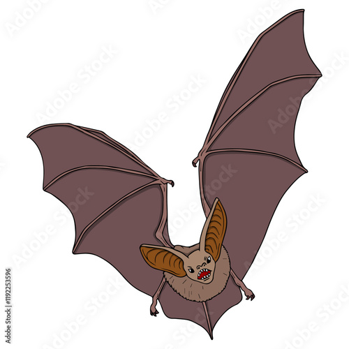 bat vector illustration