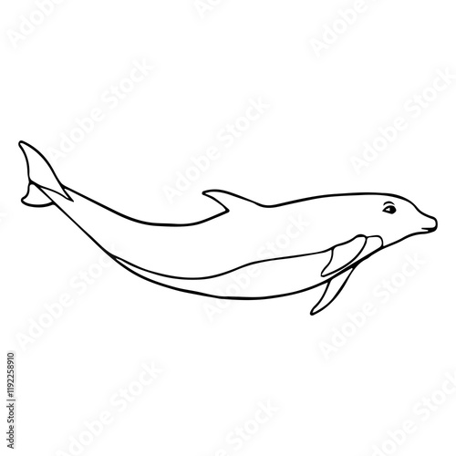 dolphin line vector illustratio