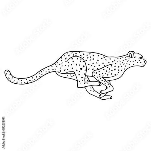 cheetah line vector illustration