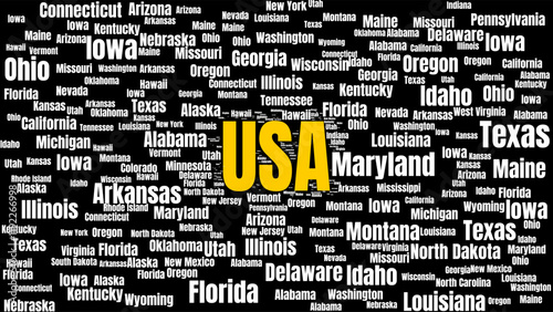 An artistic representation of the United States with state name featured in bold typography creating an eye-catching and informative art piece.