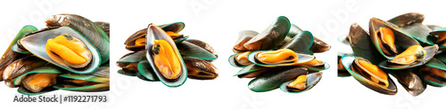 Fresh Green Lipped Mussels Seafood Gourmet Food Photo