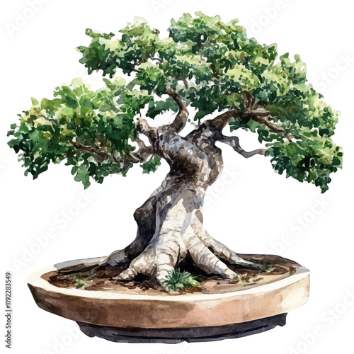 A watercolor vector of an African baobab bonsai, isolated on a white background. African baobab bonsai vector.
