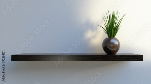 Minimalist dark wood shelf with a green plant in a brown pot against a white wall.