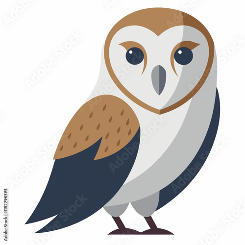 barn owl on white background