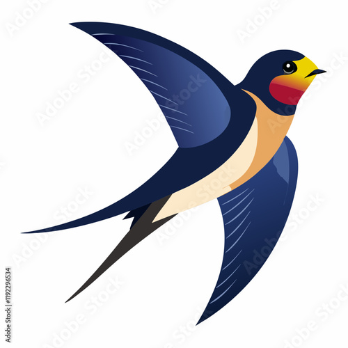 barn swallow vector
