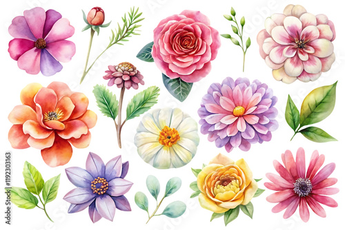 Wallpaper Mural Set of watercolor flowers and leaves. Isolated, on transparent background. PNG Torontodigital.ca