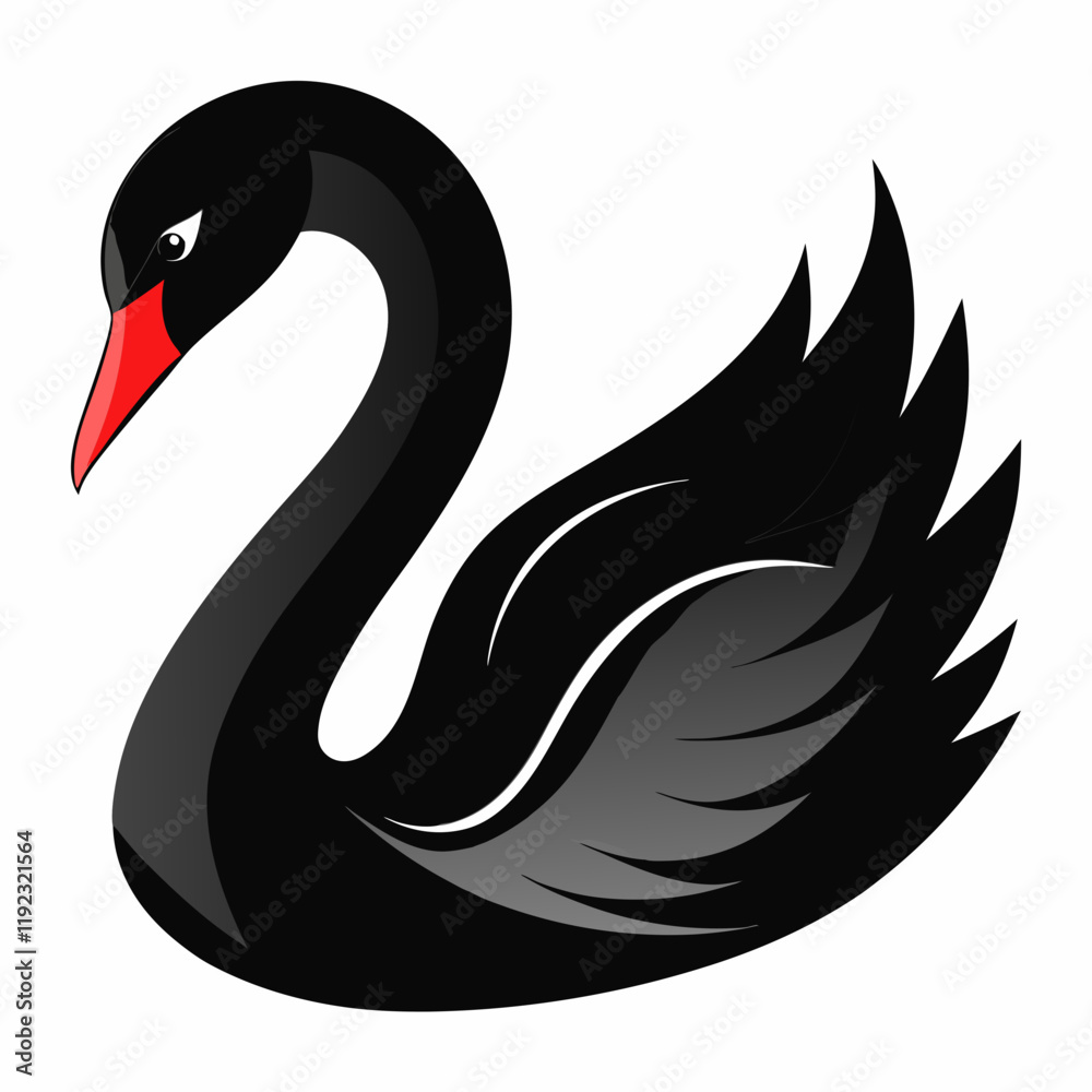 Fototapeta premium black swan vector art