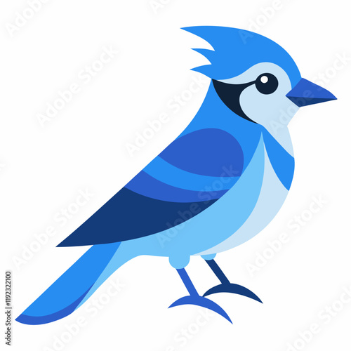 blue jay bird vector art