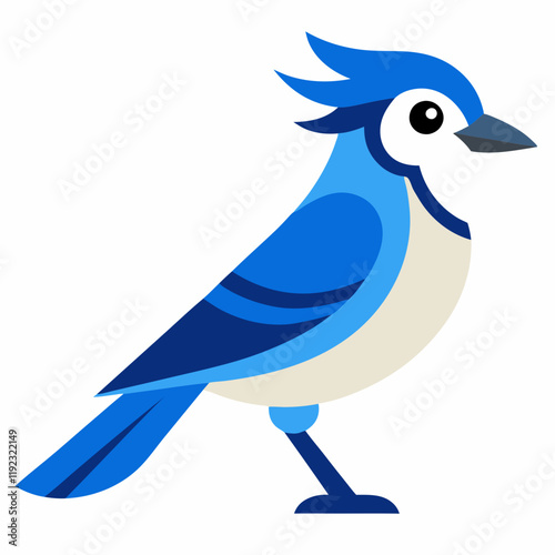 blue jay bird vector