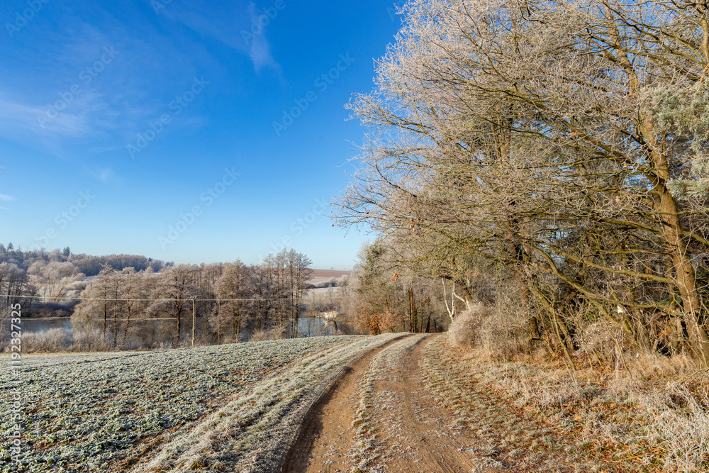A dirt road in the countryside. A cold winter morning in Central Europe.